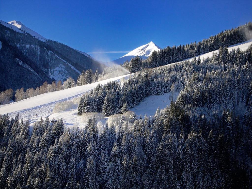 MH Appartement Bartolot Saalbach-Hinterglemm Extérieur photo
